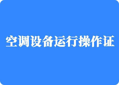 操小骚逼喷水操爽了制冷工证